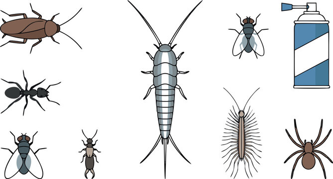 Household Insect Pests Vector Set Featuring Silverfish Cockroach Ant Centipede Spider Housefly and Pest Control Chemical Spray Can Illustration for Exterminators