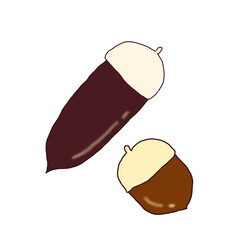 Hand-drawn illustration of two acorns, one long and one round, in brown and dark brown with caps © riranosu