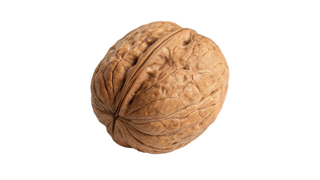 Single whole textured walnut nut shell isolated on black background for healthy diet concepts