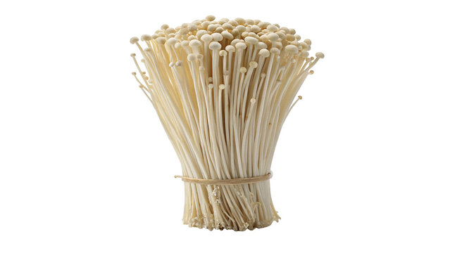 Bunch of raw dried enoki mushrooms isolated on dark background for Asian cuisine layouts