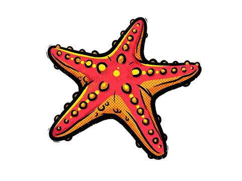 Stylized starfish illustration
