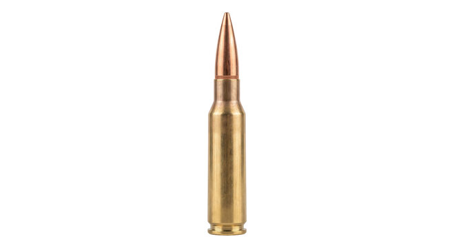Single rifle cartridge with brass casing and copper bullet isolated on white background