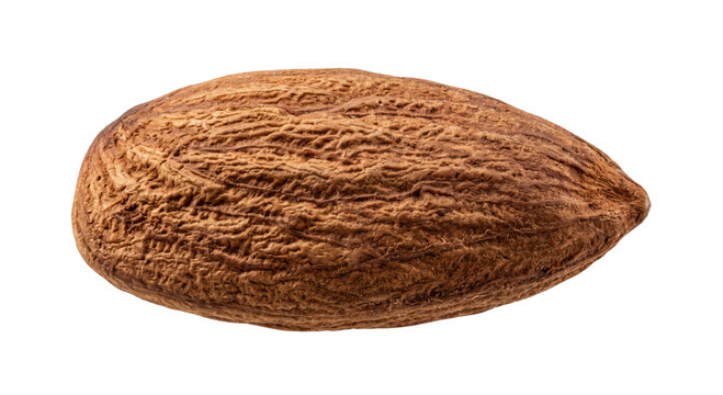 Close-up macro shot of a single raw almond with textured brown skin isolated on white