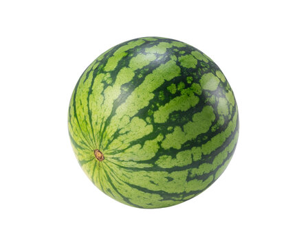 One watermelon placed on a white background.