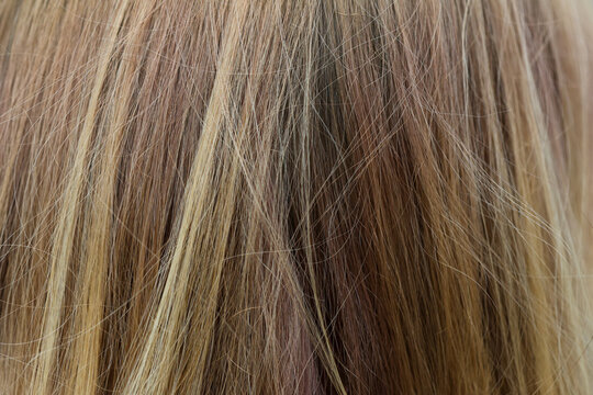 Soft, light brown hair with subtle highlights