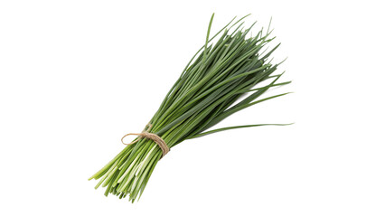 Bunch of fresh green chives tied with string isolated on black background for culinary herbs © HarryThomasEvans