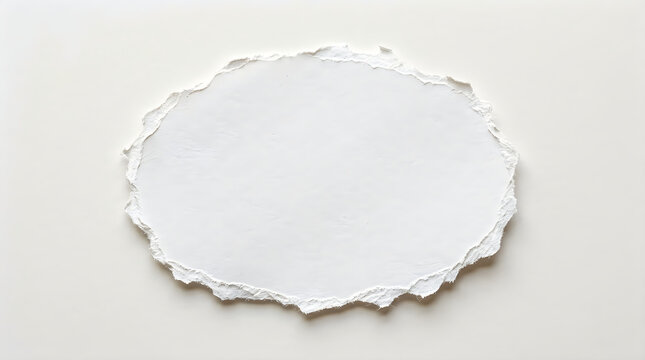 White paper plate with torn edge silhouette