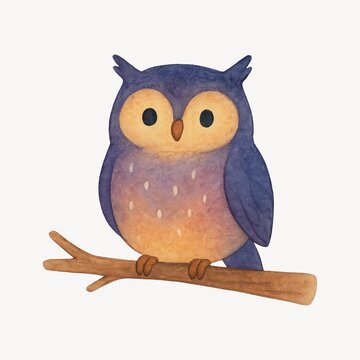 Charming watercolor owl illustration.