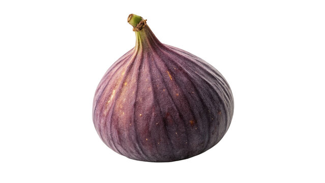 Single ripe purple fig fruit isolated on black background for healthy food design layouts