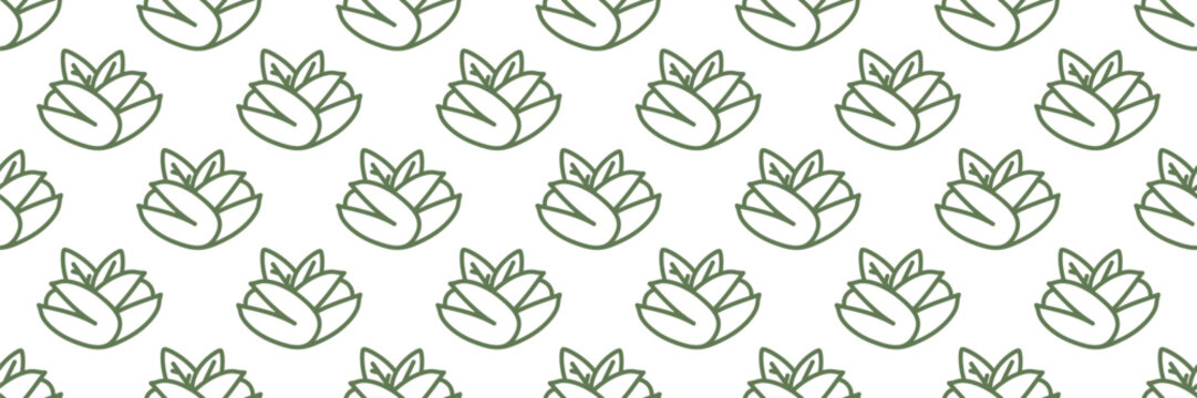 Pistachio illustration outline with pattern line texture and lineart banner green. Background healthy organic with snack seamless nut and leaf vector design.