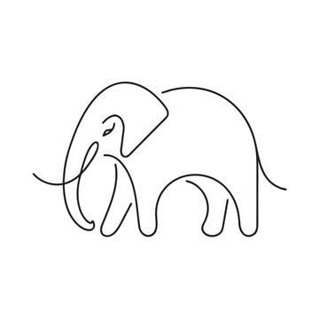 vector image of an elephant