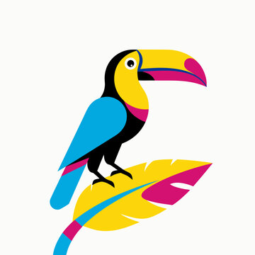 toucan bird on branch vector