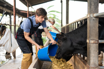 Caucasian man and woman dairy farmers working together at livestock farm.  © Kawee
