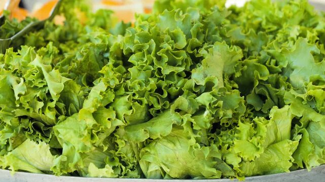 Fresh green lettuce displayed in a serving container at a self service food area. Fresh ingredient for salads, sandwiches and meals. High quality 4k footage