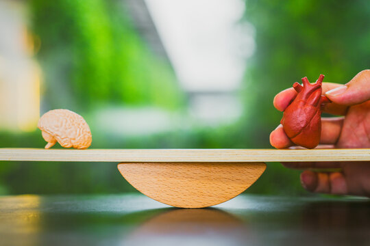 Brain and heart balance concept with anatomical organ models on wooden seesaw scale against green bokeh background for logic versus emotion, mental health and rational decision making.
