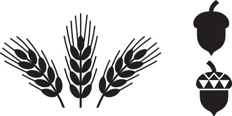 Fototapeta premium Wheat and barley grain silhouettes paired with acorns, creating a rustic botanical collection ideal for agriculture, harvest, autumn, food packaging, farming, and nature-themed designs.
