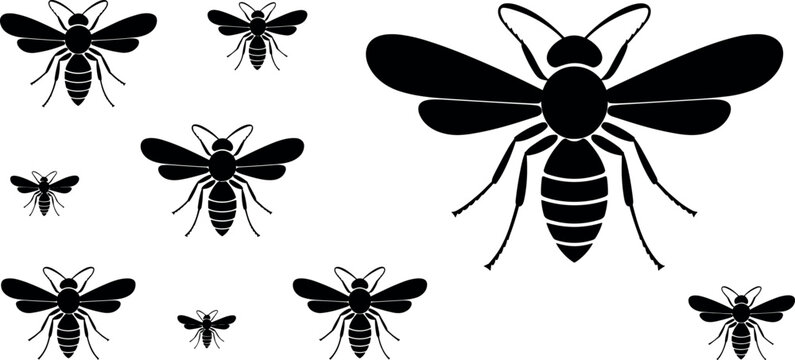 Swarm of wasp and hornet silhouettes showcasing spread wings and striped abdomen features isolated on white vector set