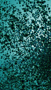 Cluster of floating Black and blue spheres in liquid