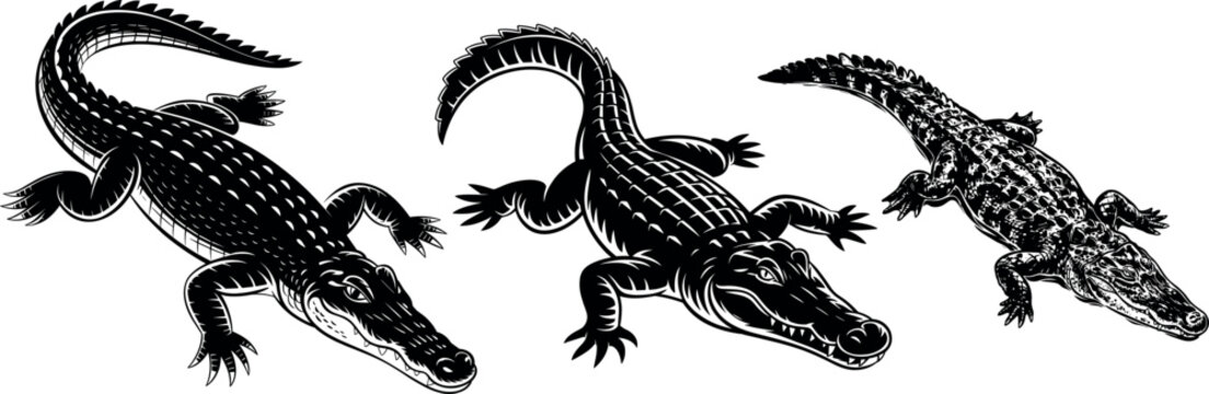 Woodcut style alligator and crocodile vector set showing detailed scaly skin texture, clawed limbs, and crawling poses isolated on white