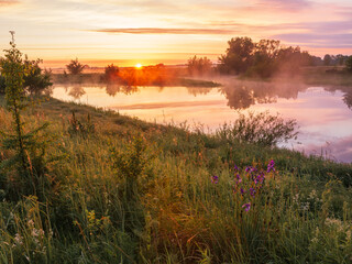 Obraz premium A beautiful misty sunrise illuminates a calm river surrounded by lush green banks and wildflowers