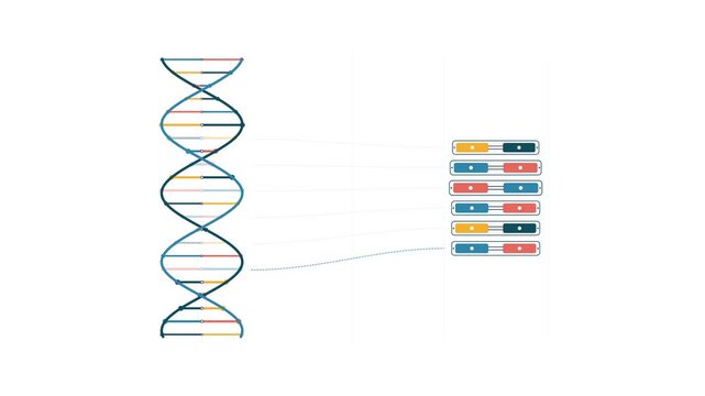 DNA Sequencing Infographic Animation with Genetic Code Mapping and Molecular Structure