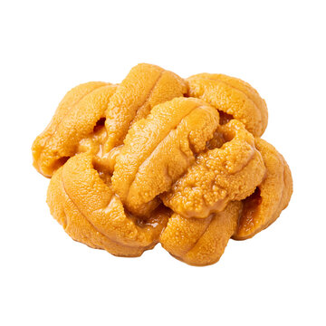 Fresh japanese uni sea urchin gonads isolated on transparent background png