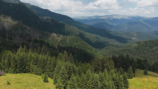 Expansive Bucegi Valley Framed by Evergreen Slopes