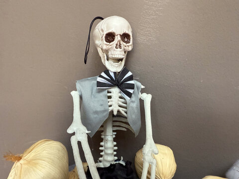 grinning skeleton with bow tie and vest, dark wall, copyspace, concept of halloween, party