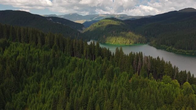 Sunlit Forest Peninsula Across Wide Bolboci Lake