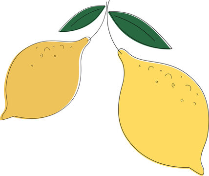 Vector illustration of pair lemons
