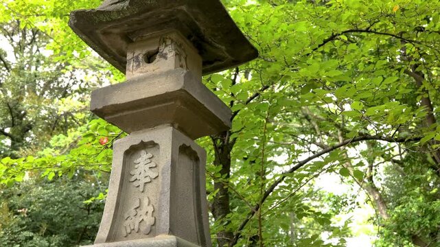 Stone Lantern Standing in Lush Green Garden Shrine
