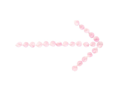 Pink Flower Petals Arranged in a Right-Pointing Arrow Shape, PNG Transparent Background