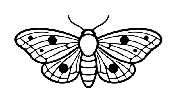 Mystic moth line art vector graphic