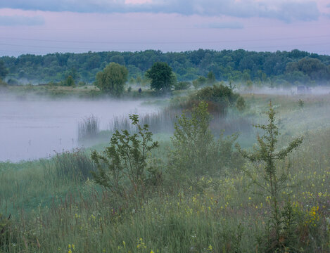 A misty fog rolls over a calm river and green fields under a soft evening sky near a distant forest.    