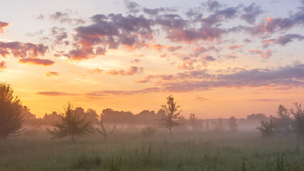 Fototapeta premium A warm, golden sunrise illuminates a misty field filled with scattered trees under a soft, cloud-filled morning sky