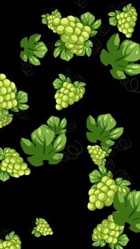 Animated Green Grapes and Leaves Falling on Black Background