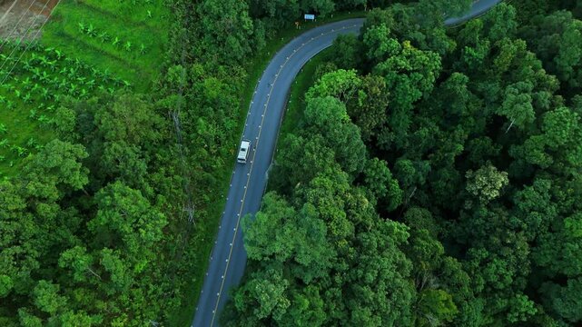 Aerial view of electric cars driving through a green forest, highlighting eco-friendly, zero-emission transportation and sustainable travel.