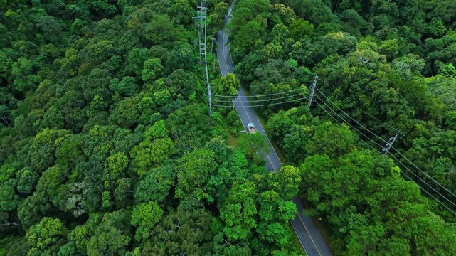 Aerial view of electric cars driving through a green forest, highlighting eco-friendly, zero-emission transportation and sustainable travel.