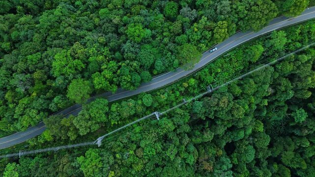 Aerial view of electric cars driving through a green forest, highlighting eco-friendly, zero-emission transportation and sustainable travel.