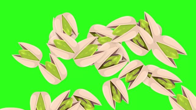 Animated Pistachio Nuts Falling and Floating on Green Screen Background