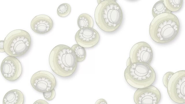 Falling White Button Mushrooms Animation on a Plain White Background