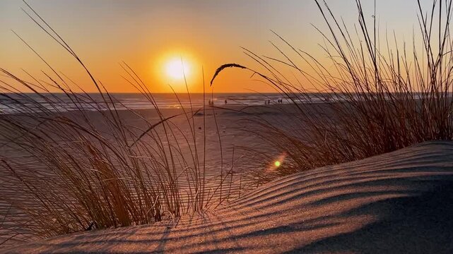 Beach sunset with ocean horizon, low sun, sand texture, and dune grass creates warm coastal scenery. Golden evening glow supports vacation promotion, tourism design, lifestyle content, and travel