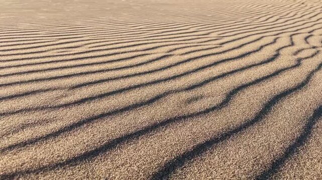 Sand dune texture shows fine wind-shaped ripples across warm sandy surface. Natural patterns create useful background for travel marketing, environmental education, coastal design, and outdoor use.