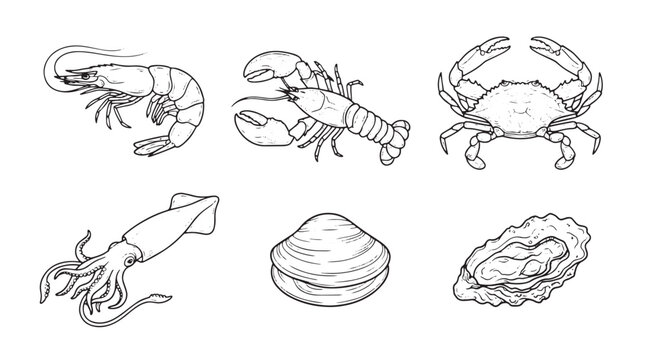 Vintage seafood line art collection, 6 hand drawn marine animal icons, black and white shellfish and crustacean vector set
