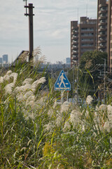 標識 © 依愛