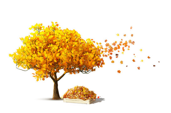 red autumn tree isolated with maple leaves falling and wood box with leaves in garden, 3D illustration