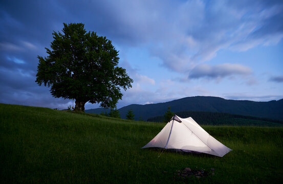 Tourist tent softly illuminated on grassy hillside beside large, solitary tree under twilight sky.