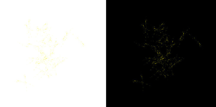 Bright yellow glowing particles explode and scatter across transparent background for abstract design.