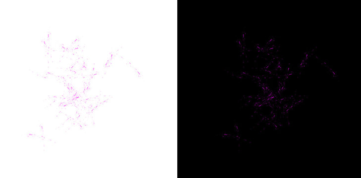 Bright purple glowing particles explode and scatter across transparent background for abstract design.