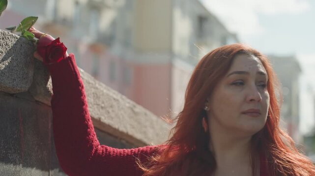 Close up of woman with long red hair wearing textured knit sweater reaching for and holding single fresh rose outdoors. Her hand movements are deliberate as woman interacts with flower